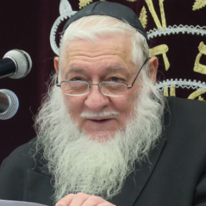 Rabbi Zev Leff 